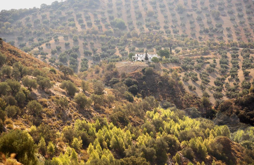 Caseria De San José Iznájar Extérieur photo